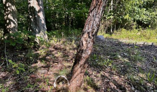 Photo #72 of SOLD property in 2888 Wheats Valley Rd, Bedford, VA 161.4 acres
