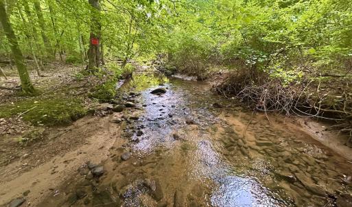 Photo #73 of SOLD property in 2888 Wheats Valley Rd, Bedford, VA 161.4 acres