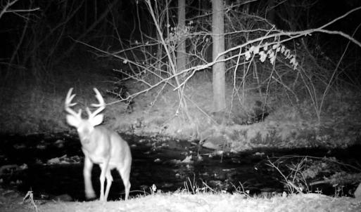 Photo #75 of SOLD property in 2888 Wheats Valley Rd, Bedford, VA 161.4 acres
