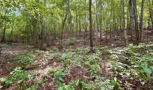 Photo #82 of SOLD property in 2888 Wheats Valley Rd, Bedford, VA 161.4 acres