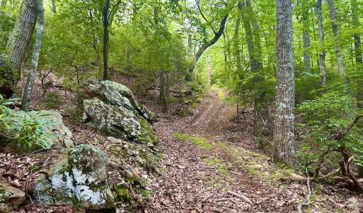 Photo #83 of SOLD property in 2888 Wheats Valley Rd, Bedford, VA 161.4 acres