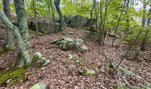 Photo #84 of SOLD property in 2888 Wheats Valley Rd, Bedford, VA 161.4 acres