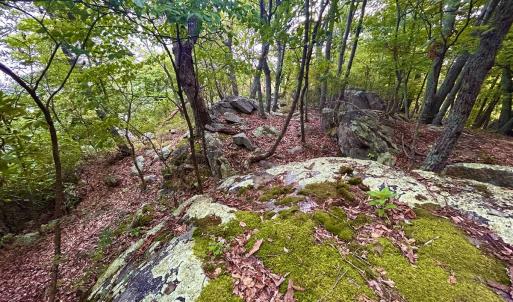 Photo #85 of SOLD property in 2888 Wheats Valley Rd, Bedford, VA 161.4 acres