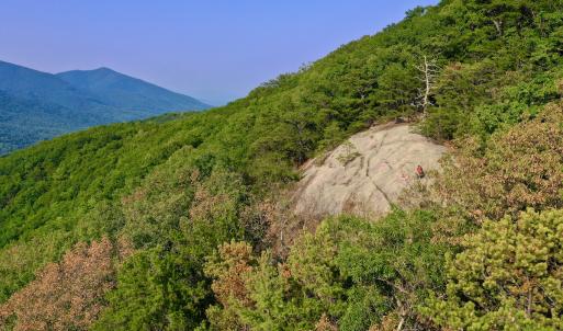 Photo #86 of SOLD property in 2888 Wheats Valley Rd, Bedford, VA 161.4 acres
