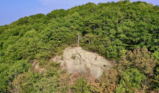 Photo #87 of SOLD property in 2888 Wheats Valley Rd, Bedford, VA 161.4 acres