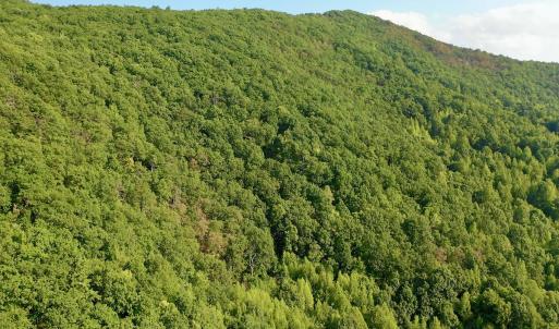 Photo #90 of SOLD property in 2888 Wheats Valley Rd, Bedford, VA 161.4 acres