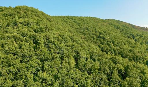 Photo #91 of SOLD property in 2888 Wheats Valley Rd, Bedford, VA 161.4 acres
