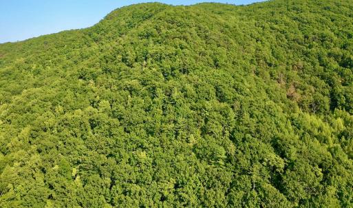 Photo #92 of SOLD property in 2888 Wheats Valley Rd, Bedford, VA 161.4 acres