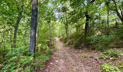 Photo #93 of SOLD property in 2888 Wheats Valley Rd, Bedford, VA 161.4 acres
