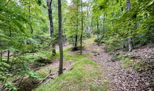 Photo #94 of SOLD property in 2888 Wheats Valley Rd, Bedford, VA 161.4 acres