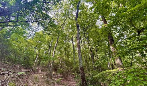 Photo #95 of SOLD property in 2888 Wheats Valley Rd, Bedford, VA 161.4 acres