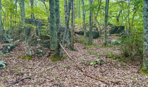 Photo #97 of SOLD property in 2888 Wheats Valley Rd, Bedford, VA 161.4 acres