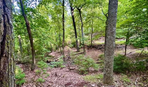Photo #99 of SOLD property in 2888 Wheats Valley Rd, Bedford, VA 161.4 acres