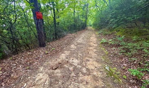 Photo #101 of SOLD property in 2888 Wheats Valley Rd, Bedford, VA 161.4 acres