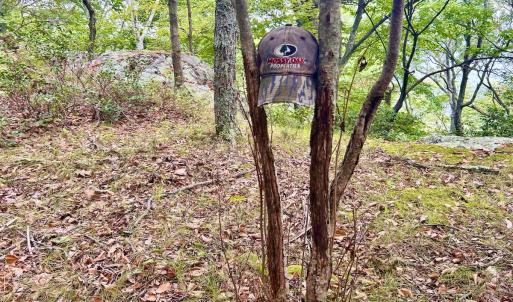 Photo #102 of SOLD property in 2888 Wheats Valley Rd, Bedford, VA 161.4 acres