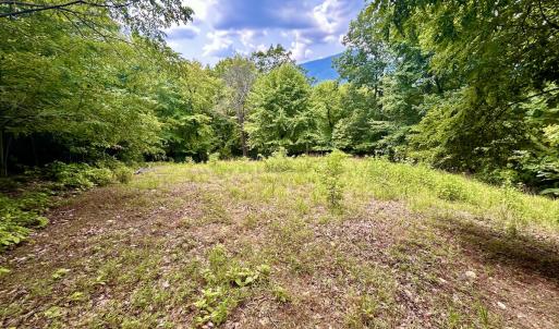 Photo #103 of SOLD property in 2888 Wheats Valley Rd, Bedford, VA 161.4 acres