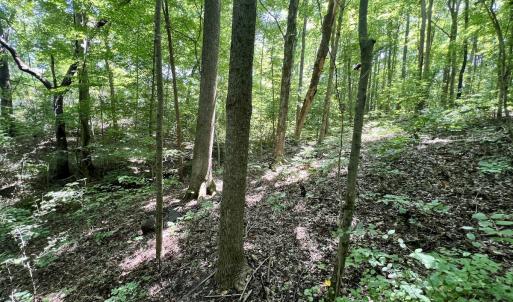 Photo #2 of SOLD property in Off Sunnyside Dr, Lexington, NC 0.8 acres