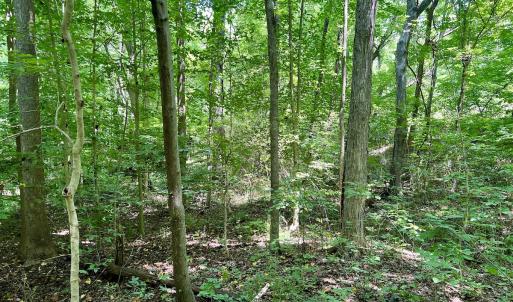Photo #3 of SOLD property in Off Sunnyside Dr, Lexington, NC 0.8 acres