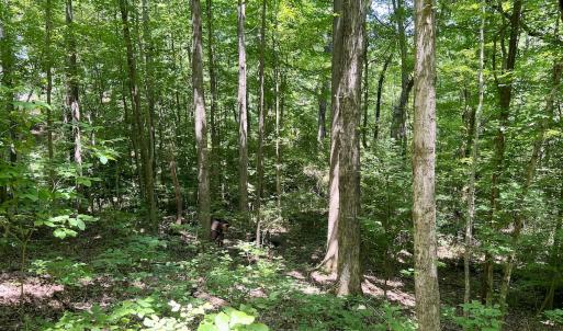Photo #5 of SOLD property in Off Sunnyside Dr, Lexington, NC 0.8 acres