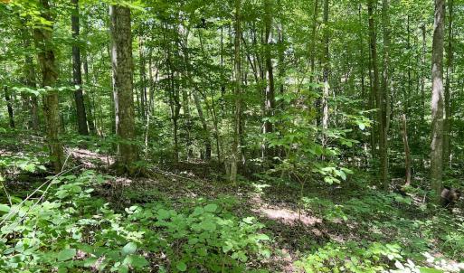 Photo #6 of SOLD property in Off Sunnyside Dr, Lexington, NC 0.8 acres