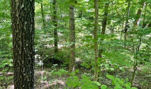 Photo #15 of SOLD property in Off Sunnyside Dr, Lexington, NC 0.8 acres