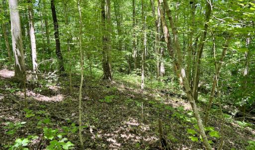Photo #16 of SOLD property in Off Sunnyside Dr, Lexington, NC 0.8 acres