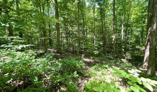 Photo #17 of SOLD property in Off Sunnyside Dr, Lexington, NC 0.8 acres