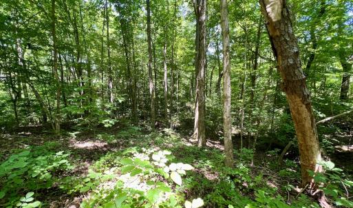 Photo #18 of SOLD property in Off Sunnyside Dr, Lexington, NC 0.8 acres
