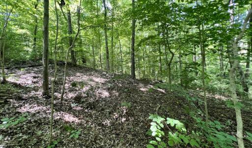 Photo #20 of SOLD property in Off Sunnyside Dr, Lexington, NC 0.8 acres