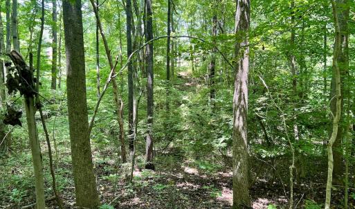 Photo #21 of SOLD property in Off Sunnyside Dr, Lexington, NC 0.8 acres
