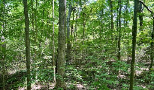 Photo #22 of SOLD property in Off Sunnyside Dr, Lexington, NC 0.8 acres