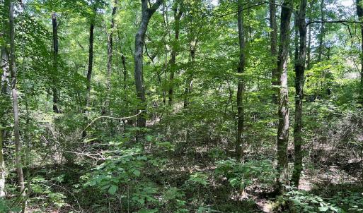Photo #24 of SOLD property in Off Sunnyside Dr, Lexington, NC 0.8 acres