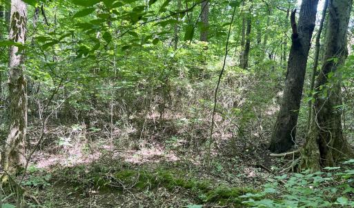 Photo #25 of SOLD property in Off Sunnyside Dr, Lexington, NC 0.8 acres