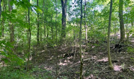 Photo #26 of SOLD property in Off Sunnyside Dr, Lexington, NC 0.8 acres