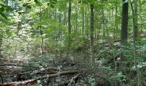 Photo #27 of SOLD property in Off Sunnyside Dr, Lexington, NC 0.8 acres