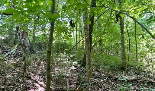Photo #28 of SOLD property in Off Sunnyside Dr, Lexington, NC 0.8 acres
