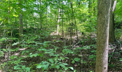 Photo #29 of SOLD property in Off Sunnyside Dr, Lexington, NC 0.8 acres