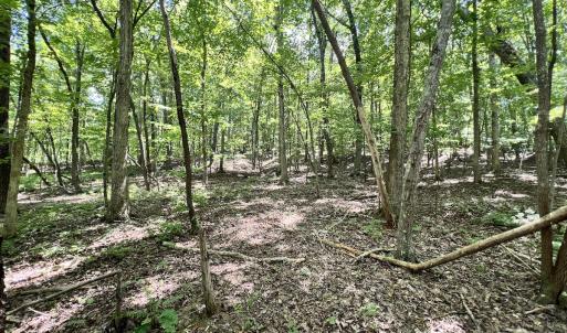 Photo #2 of Off of Amy Lane, Moneta, VA 6.6 acres
