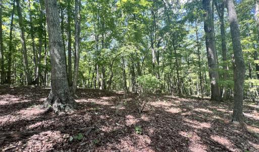 Photo #3 of Off of Amy Lane, Moneta, VA 6.6 acres