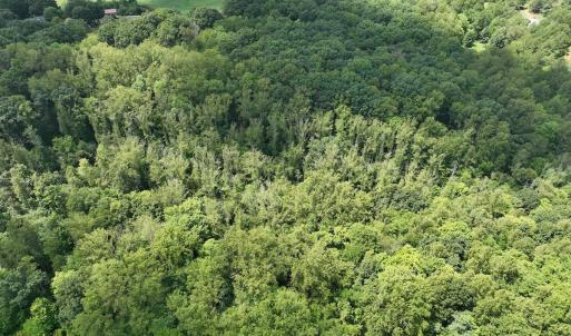 Photo #7 of Off of Amy Lane, Moneta, VA 6.6 acres