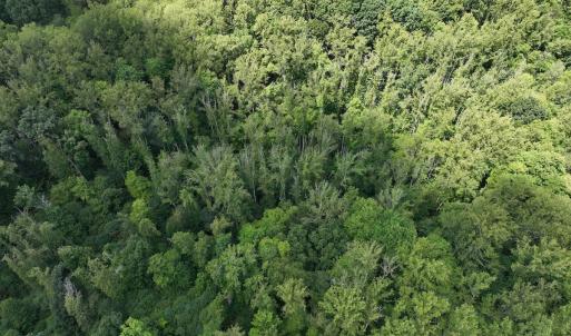 Photo #8 of Off of Amy Lane, Moneta, VA 6.6 acres