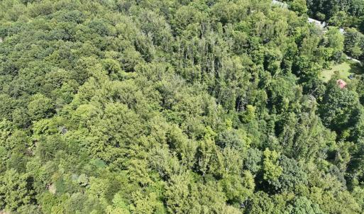 Photo #9 of Off of Amy Lane, Moneta, VA 6.6 acres