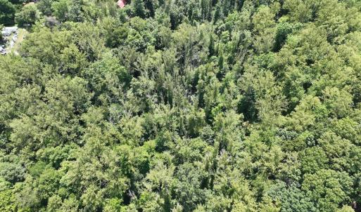 Photo #11 of Off of Amy Lane, Moneta, VA 6.6 acres