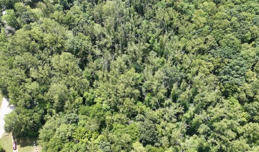 Photo #12 of Off of Amy Lane, Moneta, VA 6.6 acres