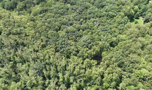 Photo #13 of Off of Amy Lane, Moneta, VA 6.6 acres