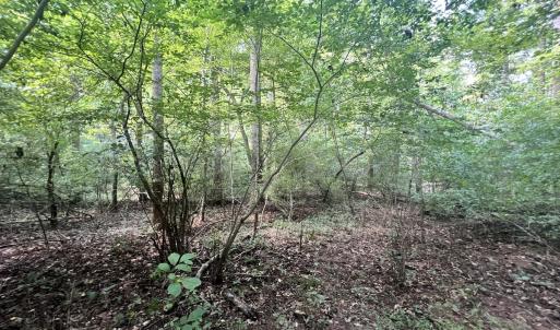 Photo #19 of Off of Amy Lane, Moneta, VA 6.6 acres