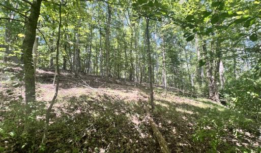 Photo #20 of Off of Amy Lane, Moneta, VA 6.6 acres
