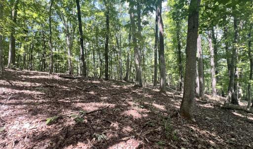 Photo #21 of Off of Amy Lane, Moneta, VA 6.6 acres