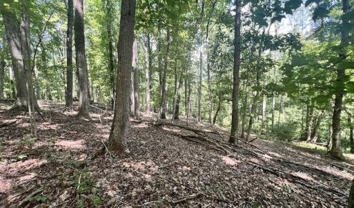 Photo #22 of Off of Amy Lane, Moneta, VA 6.6 acres
