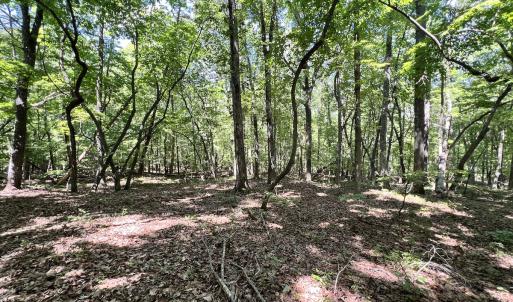 Photo #23 of Off of Amy Lane, Moneta, VA 6.6 acres